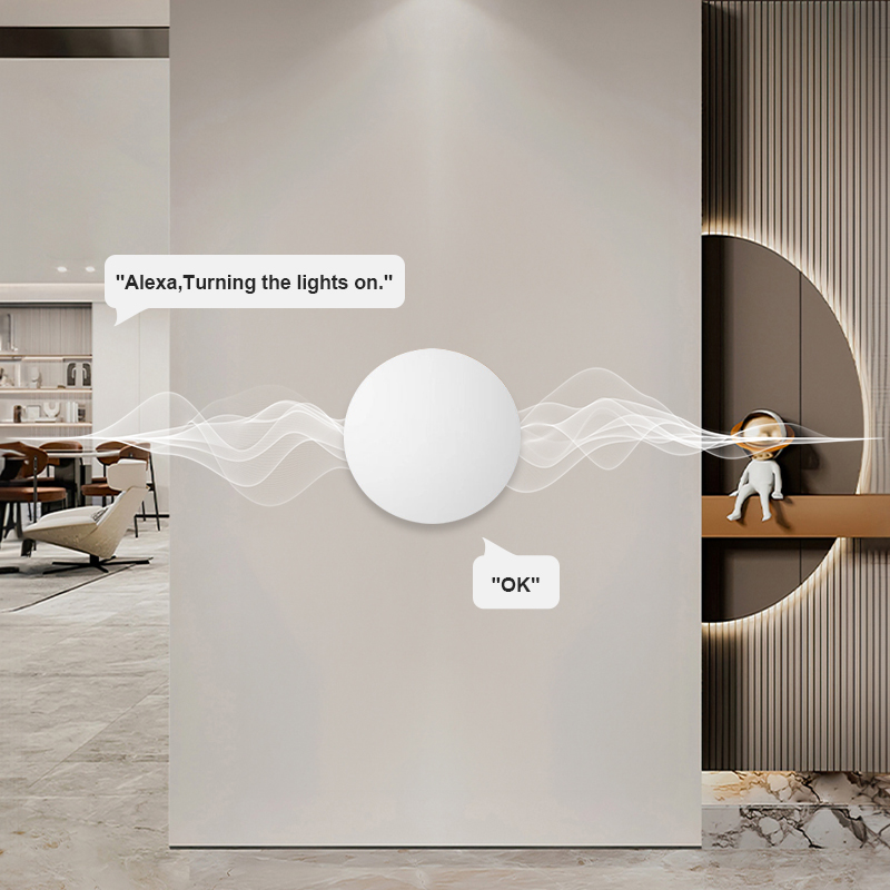 زر ذكي لاسلكي ZigBee للتحكم في - مراجعة Home Assistant Tuya وسعره